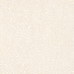 领域陶瓷-抛光砖LS6002-LS8002-LS10002